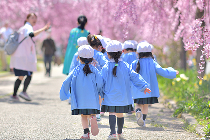 春・桜・散歩の園児
